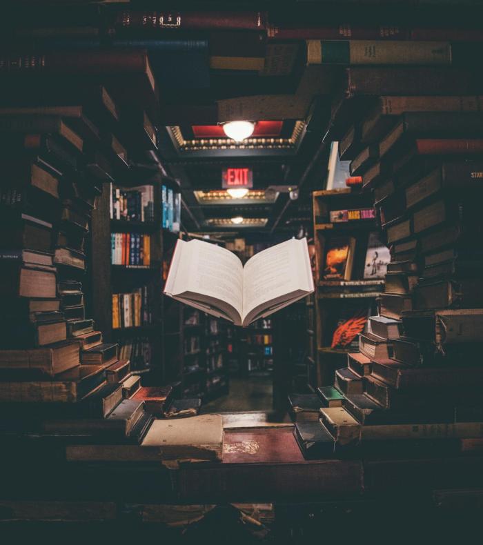 jaredd-craig-HH4WBGNyltc-unsplash